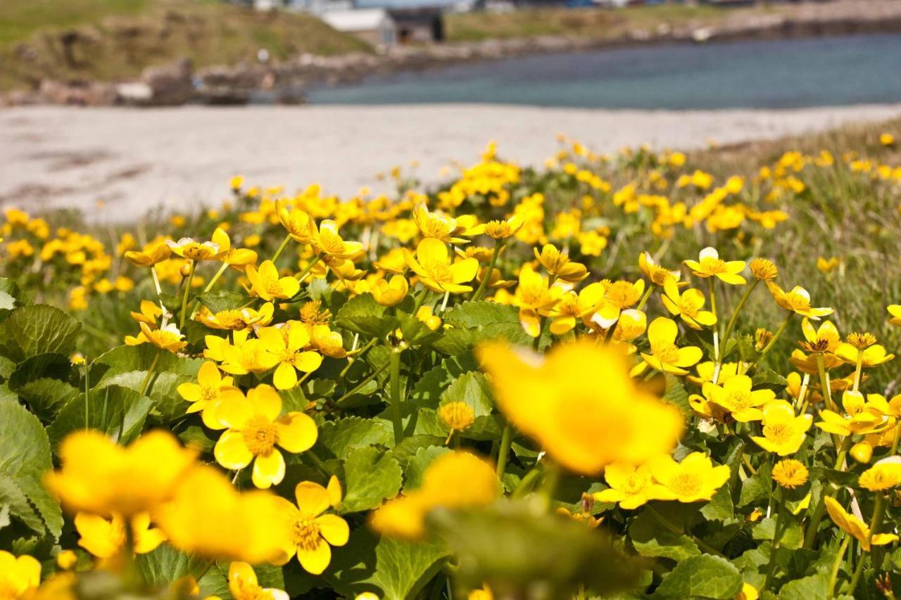 Cosy Apartment Near Beach, Marina & City Centre Tórshavn Exterior foto